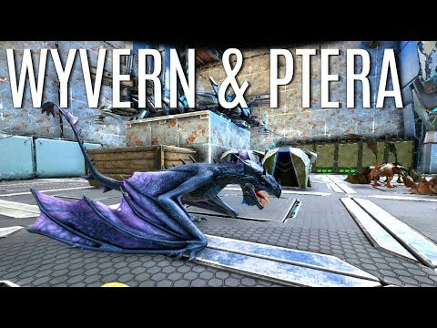RAISING WYVERNS and Starting A Ptera Line - Official 6 Man Tribes - ARK Survival
