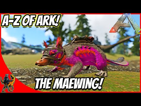 A-Z Of Ark! The MAEWING!! || Ark Survival Evolved!
