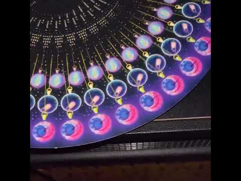 Owls Strobe Light by Someone video thumbnail