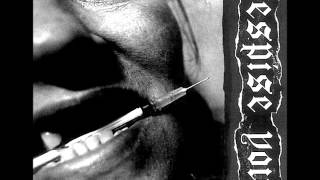 Despise You - In Your Eyes (Circle Jerks Cover)