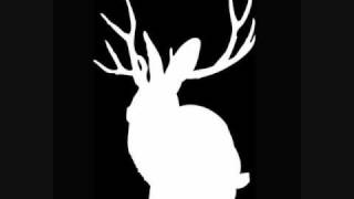   Animal   Miike Snow