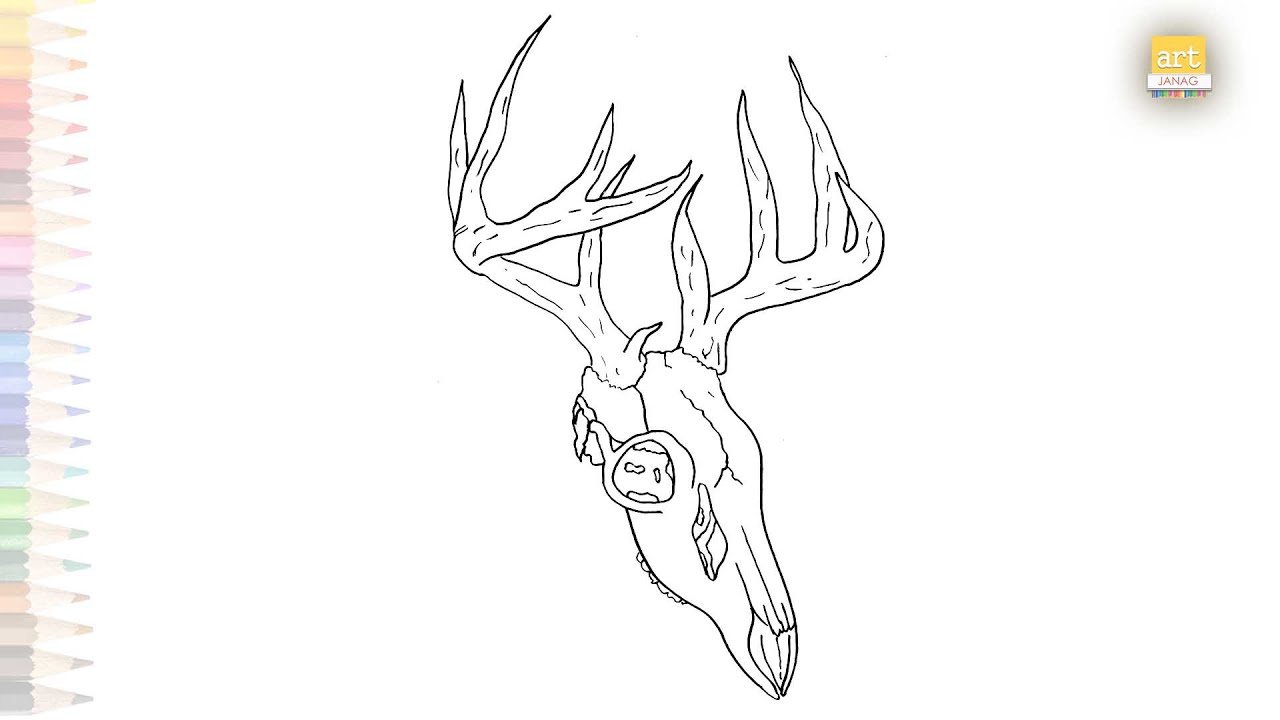 Deer head skull with antlers drawing easy | Outline sketches | How to draw A Deer skull step by step