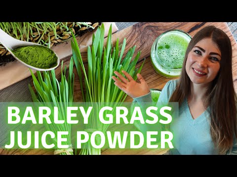 Barley Juice Benefits & Barley Grass Juice Powder Review [The Best Green Juice Powder]