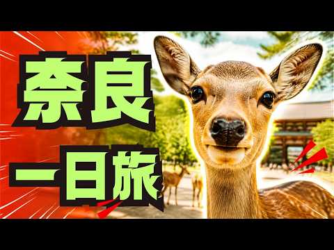 【聖地】奈良｜“癒しの都”｜日本建国の地
