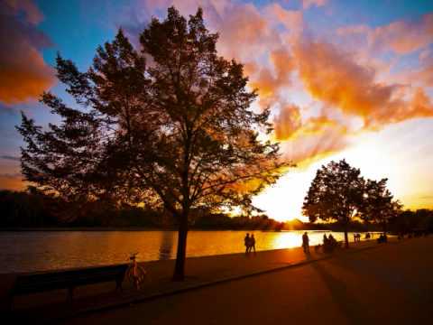 Mikkas - A Beautiful World