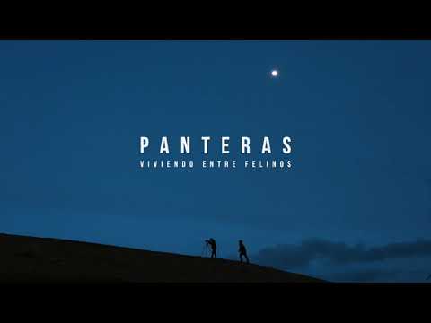 Tráiler Panteras: Viviendo entre felinos 2021