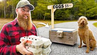 We Have Too Many Eggs—So We Built This
