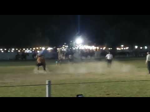 oscar rios fortin inca