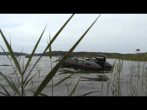 Karpfenangeln 141 Videotagebuch MLotz