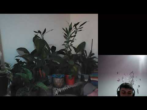 HIPNOZA REGRESIVA 904 RO BET SI AUTODISCIPLINA SUFLETULUI A SI C MORARU