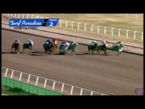 2016 Open Quarter Horse Derby - May Be Fantastic Sa - Turf Paradise