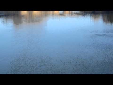 Balaguer: sumergiéndose en agua muy fría