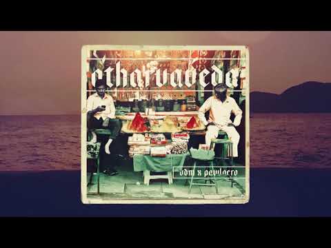 vdM x Pawloero - Haikupsychol