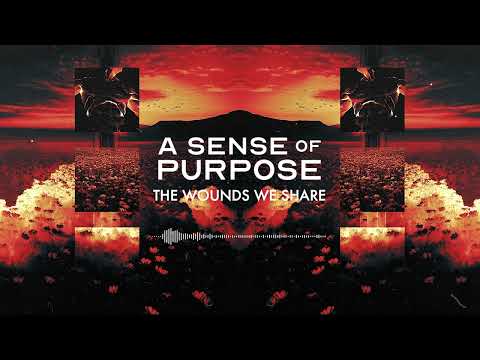 A Sense of Purpose - The Wounds We Share (Official Stream Video)