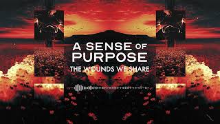 A Sense of Purpose - The Wounds We Share (Official Stream Video)