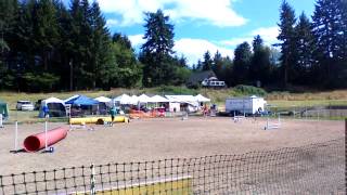 Novice Chances 2 Q 9-1-14 Ozzie