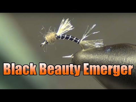 Black Beauty Midge Emerger Fly Tying - Great Midge Pattern For Big Picky Winter Trout