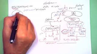 73 ★ الصورة المتداخلة في التشبيه البليغ image