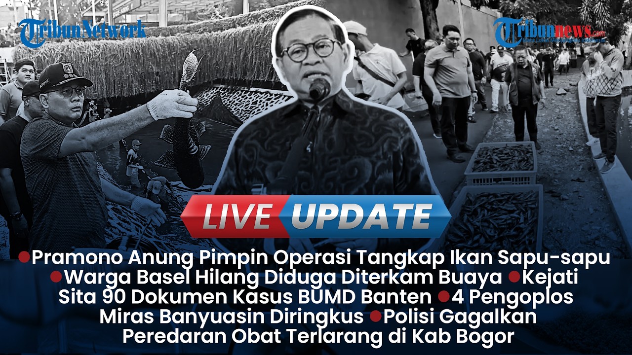 LIVE UPDATE SORE: Pemprov DKI Basmi Sapu-sapu, Warga Hilang Diduga Diterkam Buaya Sungai Nyirih