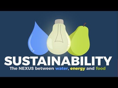 Sustainability: the nexus between water, energy and food
