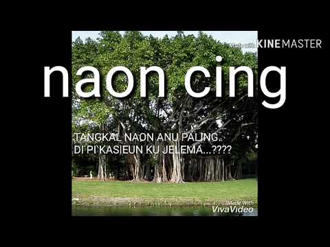 download lagu mp3 mp4 Tatarucingan Sunda Jorang, download lagu Tatarucingan Sunda Jorang gratis, unduh video klip Download Tatarucingan Sunda Jorang Mp3 dan Mp4 Free All Gratis