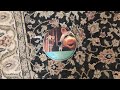 The Muppet Show Season 3 2008 DVD Menu Walkthrough Disc 3