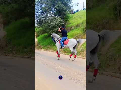 🐴 Recordando con cariño los buenos momentos vividos en nuestro desfile de caballos 2026-2027. ❤️