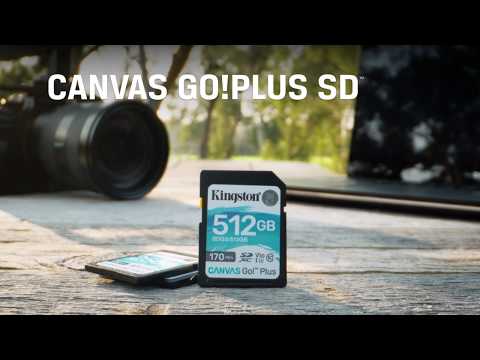 Миниатюра изображения товара Карта памяти Kingston Canvas Go Plus SDXC (Class10) 64Gb (SDG3/64GB)