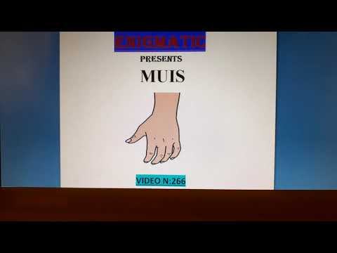 MUIS (VIDEO N:266)