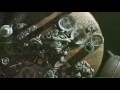 关于 Resident Evil 7: Biohazard  XBox  DLC 的游戏实况视频
