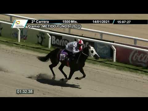 210114 c02 - SOUTHERN FEVER - HIPODROMO LAS PIEDRAS