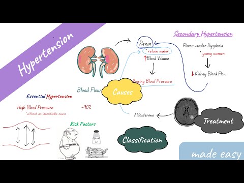 Hypertension Explained | High Blood Pressure