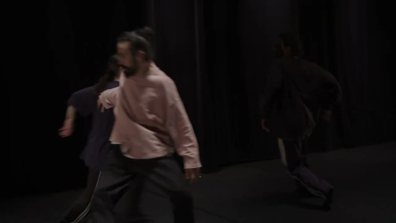video du spectacle
