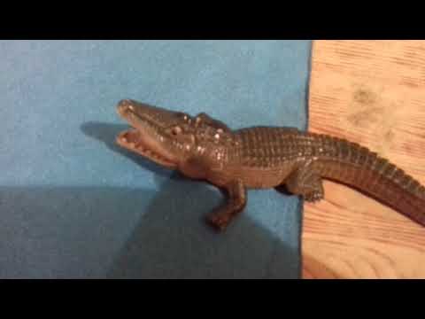 ANIMAL FACE-OFF: GREAT WHITE SHARK VS. SALTWATER CROCODILE MAKE BY MOHAMMAD ALI NAQVI