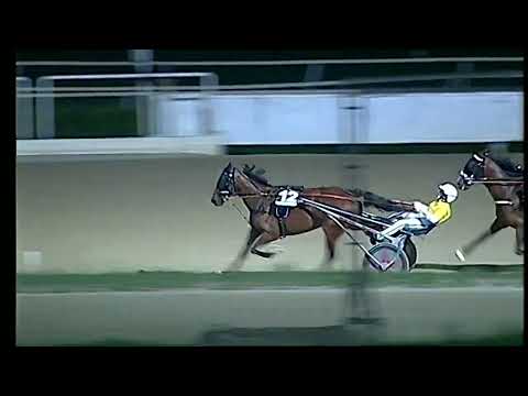 Napoli Trotto 27/08/2022 - 5ª corsa