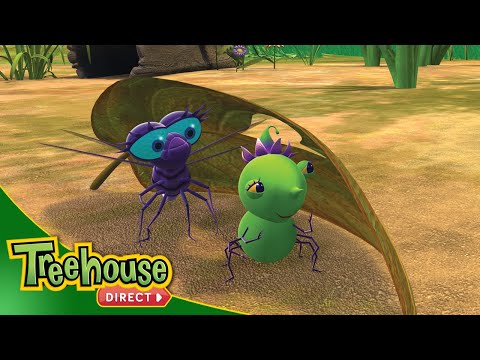 Miss Spider | Mr. Mocking-Bug / Odd Bug Fellows - Ep.35