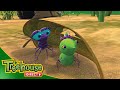 Miss Spider Mr Mocking Bug Odd Bug Fellows Ep 35