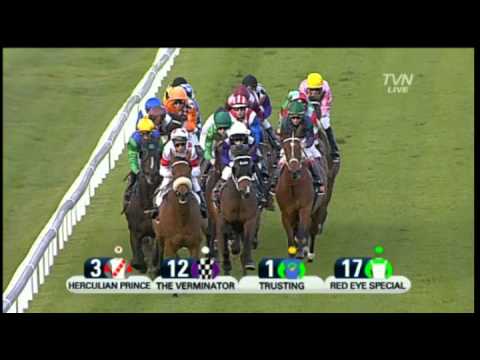 2011 The Metropolitan Handicap - The Verminator.