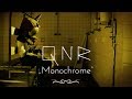Monochrome