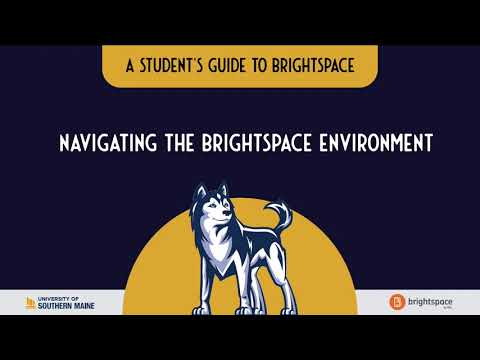 Navigating The Brightspace Environment