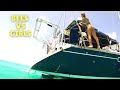 Girls Vs BEES On A BOAT Ep 22