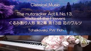 Download lagu The nutcracker Act II, No.13. Waltz of the Flowers （くるみ割り人形 第2幕  花のワルツ） / Tchaikovsky（チャイコフスキー）弾いてみた mp3