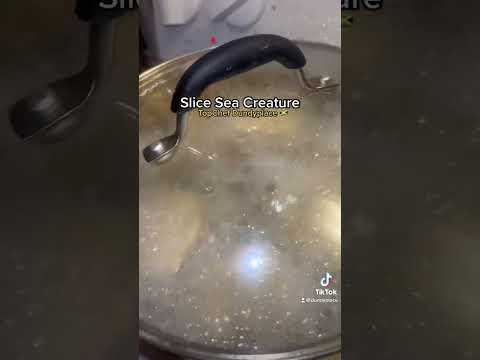 Cooking Slice Sea Creature with TopChef Dundyplace #JamaicanChef