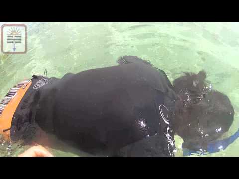 Static Breath-hold Freedive training. Freediving in the Philippines. Nearly 6min on first session!