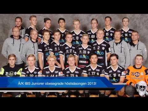 Å/K IBS Nyårskavalkad 2013