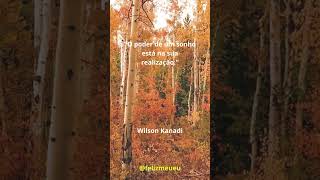 Poder de um Sonho #foco #amor #eusoufeliz #frases #mentecriativa #inspiração #motivação #vidapessoal