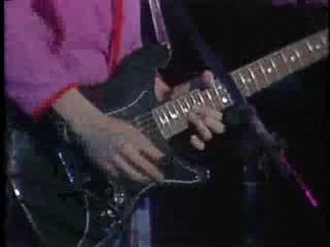 The Roosters - Case Of Insanity (1981 Live)