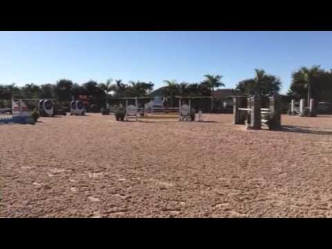 Yaya Bella Modified Jumpers