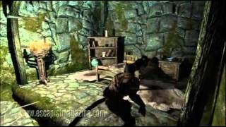 Miracle of Sound: Khajiit Like To Sneak (Skyrim)