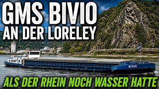 #247 Shipspotting: Binnenschiffe auf dem Rhein / GMS Bivio aus Belgien